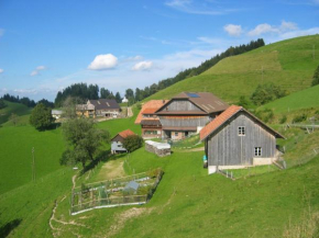 Отель Apartment Ober-Tiefenbühl, Хергисвиль